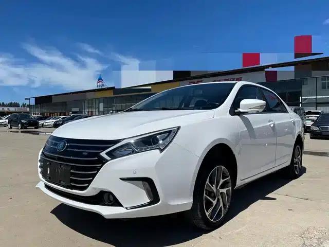 Qin New Energy 2018 Qin EV450 Intelligent Premium Edition