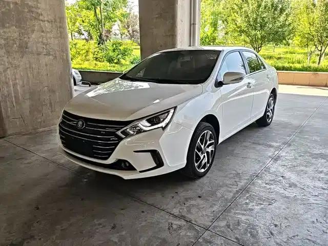 Qin New Energy 2018 Qin EV450 Intelligent Premium Edition