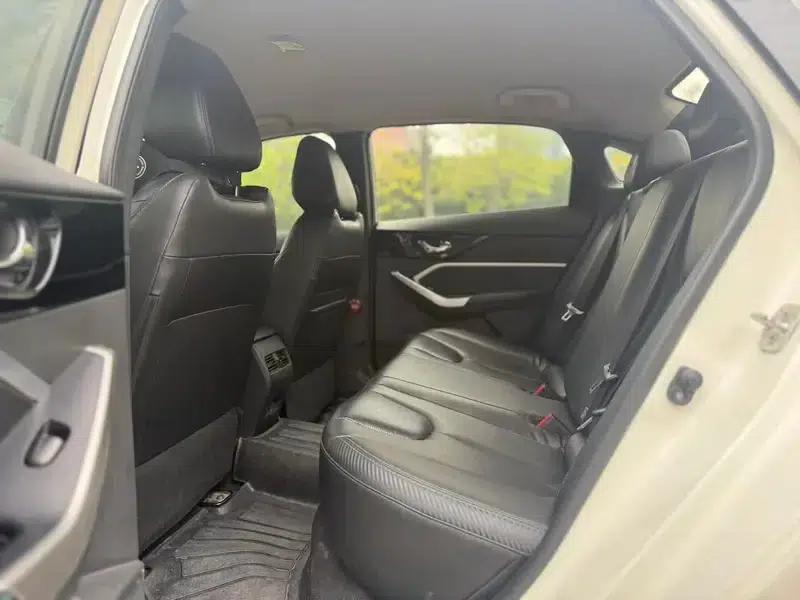 Venucia D60 EV 2020 Standard Range Smart Edition — миниатюра 9