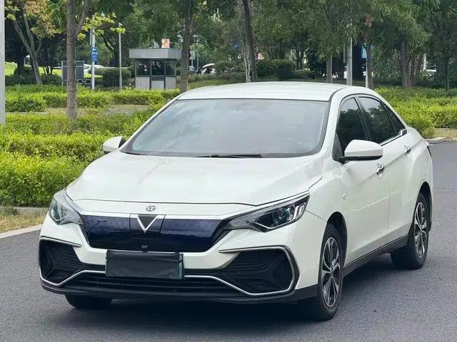 Venucia D60 EV 2020 Standard Range Smart Edition