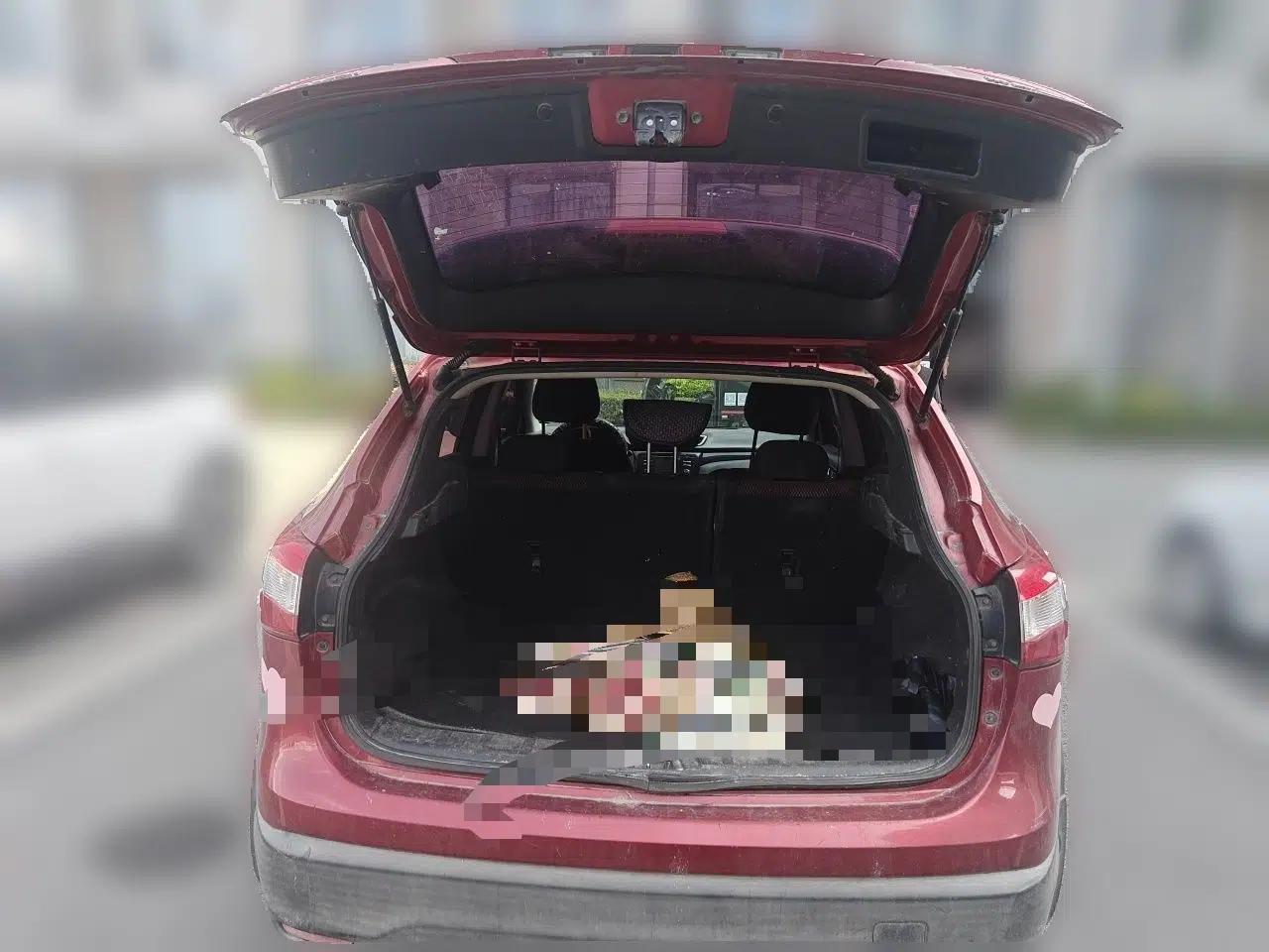 Nissan Qashqai 2016 2.0L CVT Elite Edition — миниатюра 19
