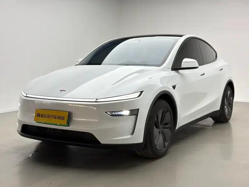 Model Y 2025 Rear-Wheel Drive — миниатюра 1