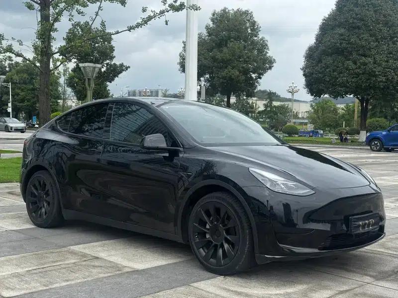 Model Y 2022 Rear-Wheel Drive — миниатюра 3