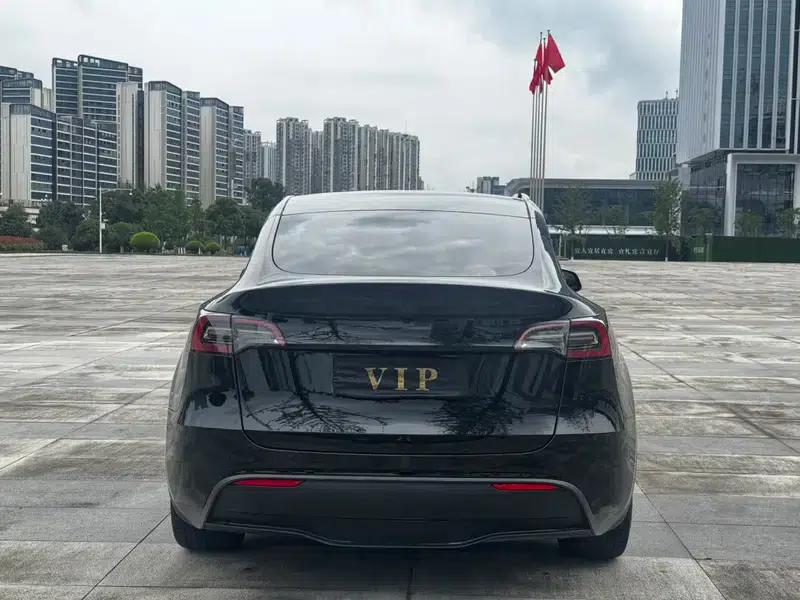 Model Y 2022 Rear-Wheel Drive — миниатюра 5