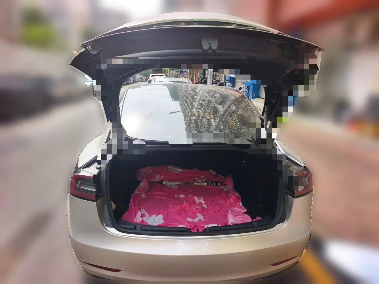 Tesla Model 3 2022 Rear-Wheel-Drive Version — миниатюра 19