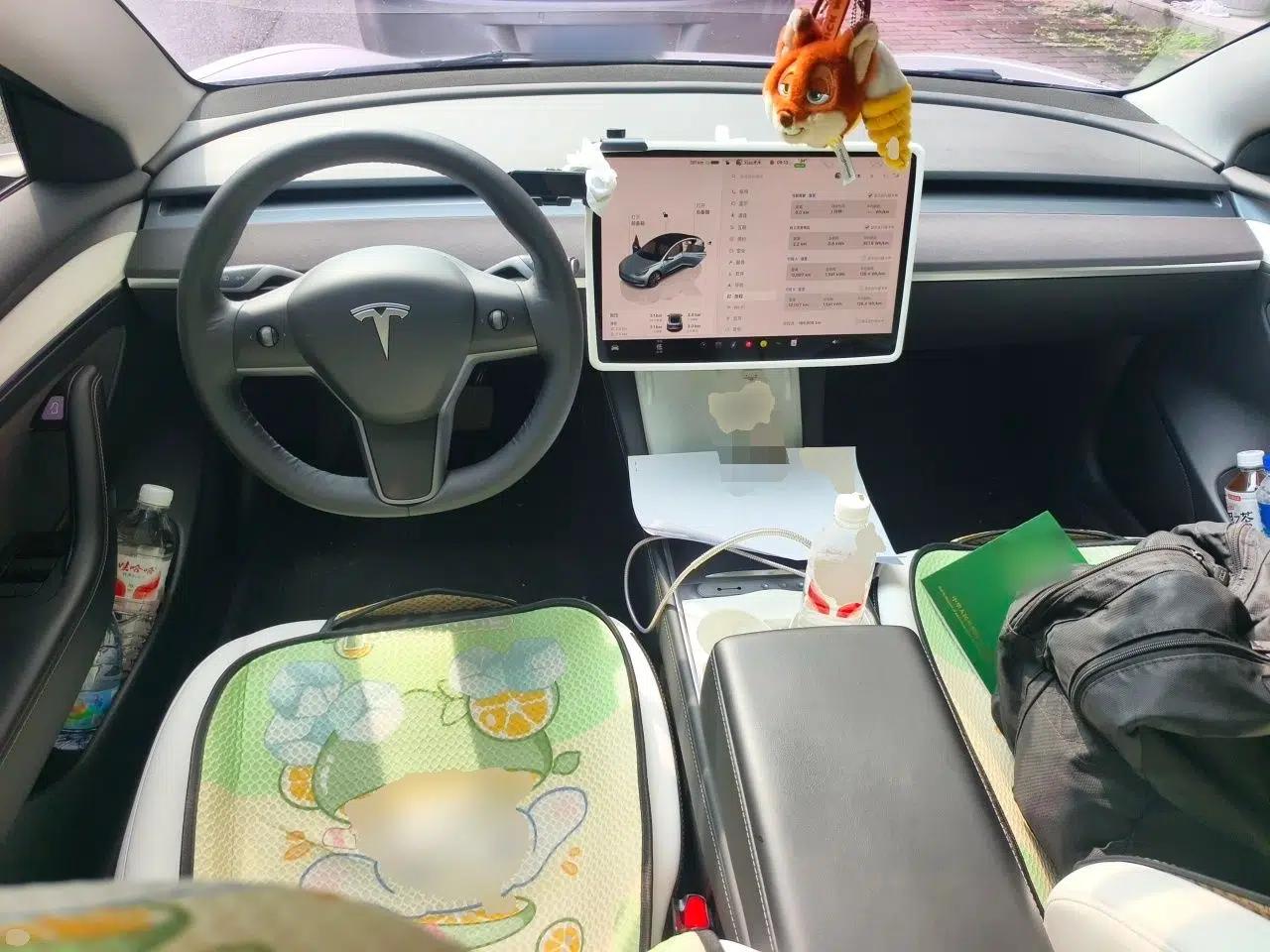 Tesla Model 3 2022 Rear-Wheel-Drive Version — миниатюра 9
