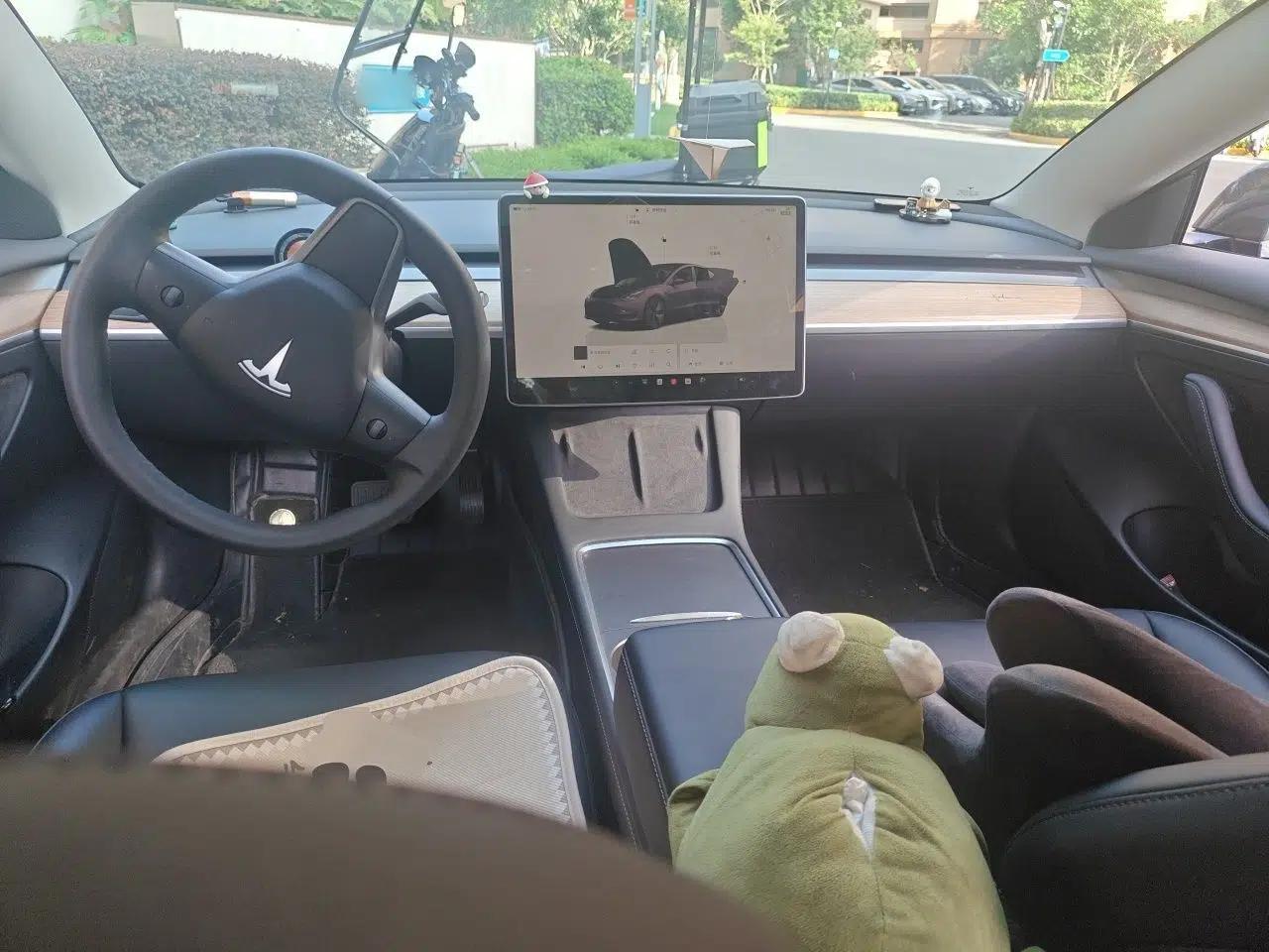 Tesla Model 3 2022 Rear-Wheel-Drive Version — миниатюра 9
