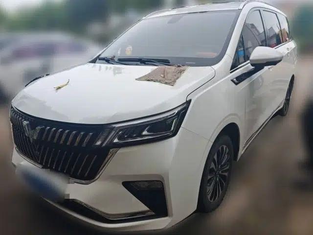 Wuling Jiachen 2022 1.5T CVT Deluxe Flagship Edition
