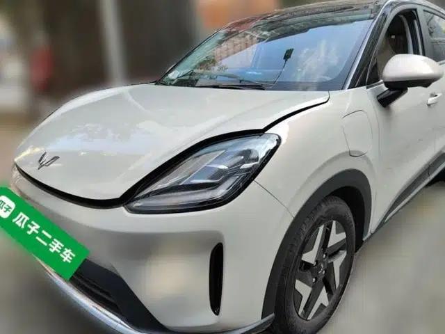 Wuling Bingo S 2025 Model 430km Flagship Edition