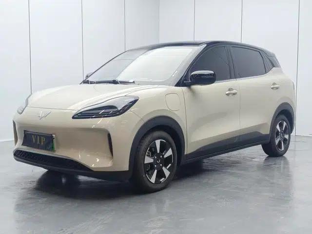 Wuling Bingo PLUS 2024 Model 510km/h Five-Seater
