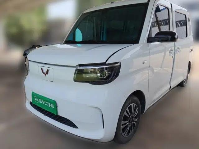 Wuling Zhiguang New Energy 2025 Standard Model