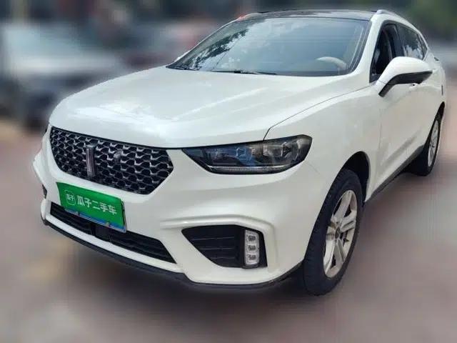 Wey VV5 2020 1.5T Two-Wheel Drive Color Pioneer