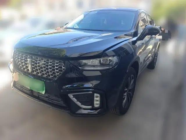 Wey VV5 2021 1.5T Two-Wheel Drive Smart Pioneer