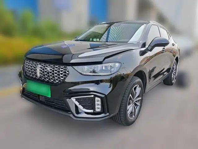 Wey VV5 2020 1.5T Two-Wheel Drive Smart Pioneer