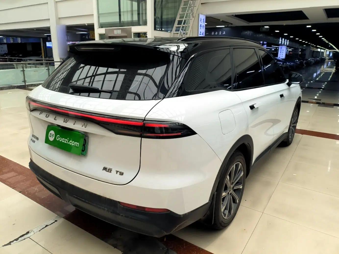 Chery Fengyun T9 2025 120 Long-Range Prestige Version 5 Seats Lithium Iron Phosphate — миниатюра 6