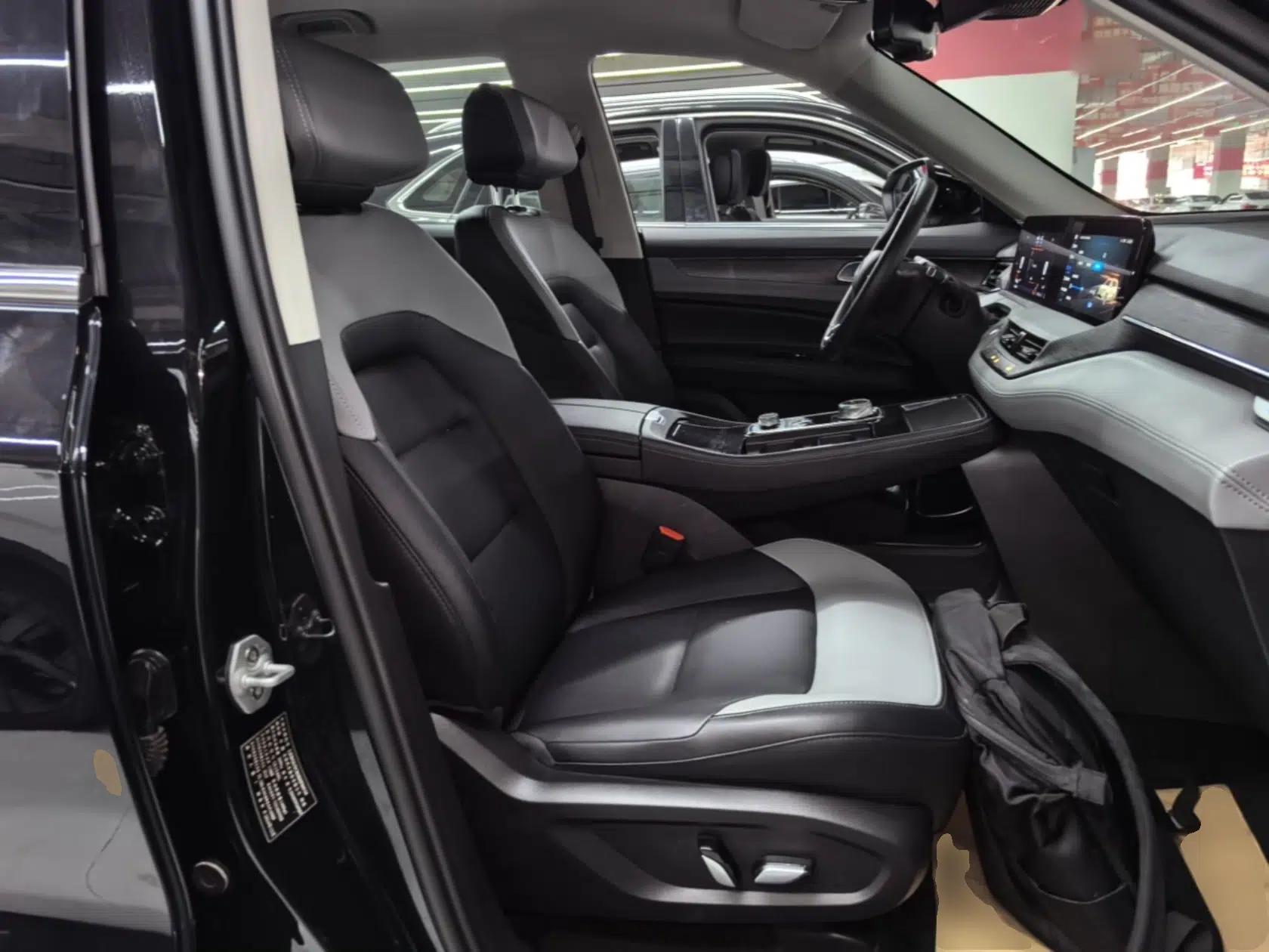 Ford Equator New Energy 2025 Platinum Edition — миниатюра 19