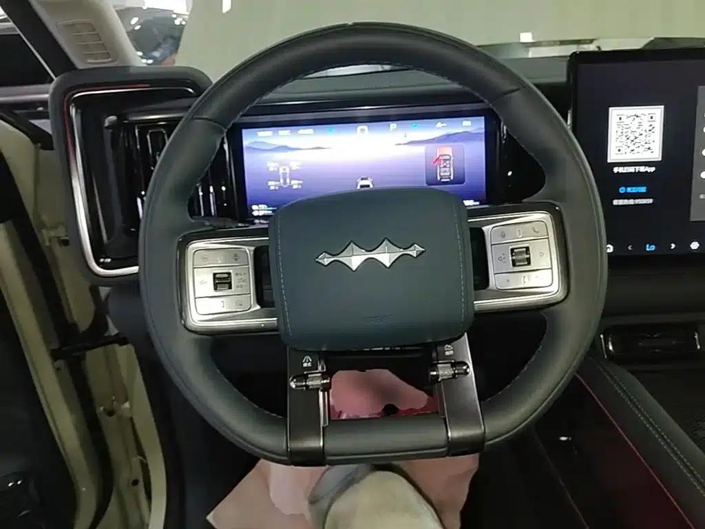 Leopard 5 2023 Navigator Edition — миниатюра 11