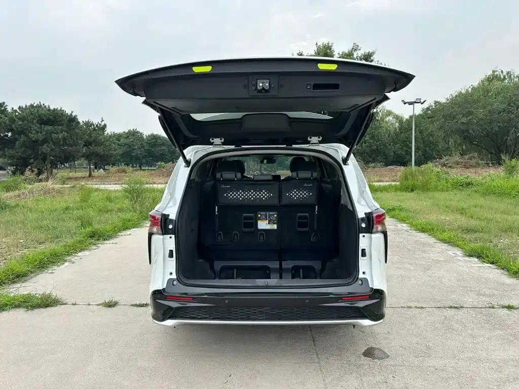 2023 Grevia 2.5L Hybrid Luxury Edition — миниатюра 8