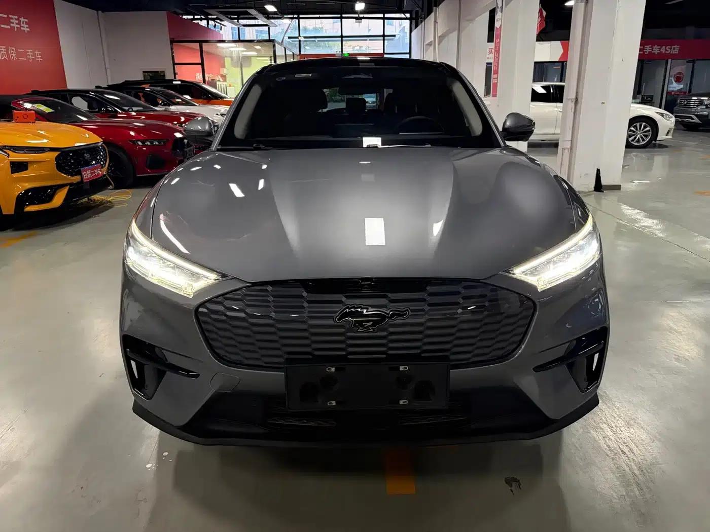 Ford Electric 2021 Model X Rear-Wheel Drive Standard Range — миниатюра 13