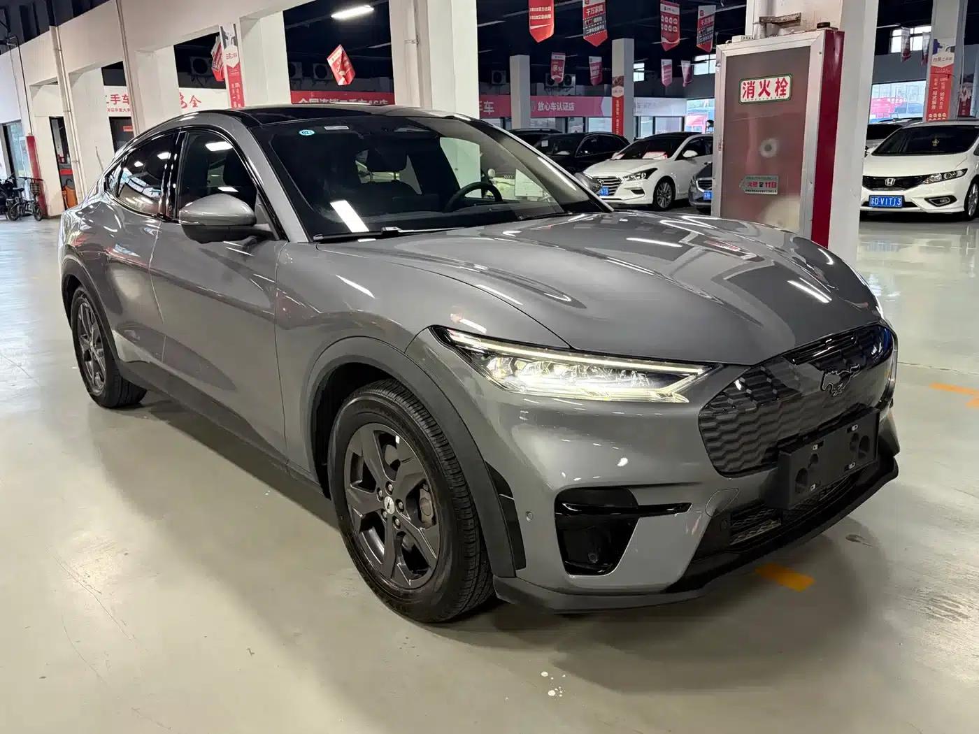 Ford Electric 2021 Model X Rear-Wheel Drive Standard Range — миниатюра 14