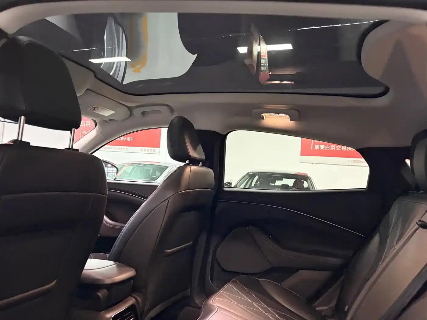 Ford Electric 2021 Model X Rear-Wheel Drive Standard Range — миниатюра 7