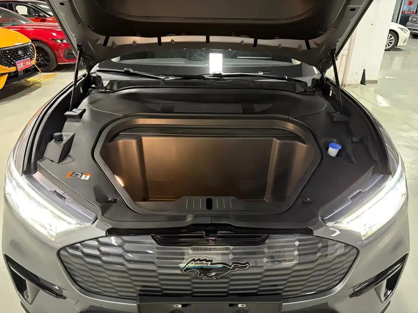 Ford Electric 2021 Model X Rear-Wheel Drive Standard Range — миниатюра 10