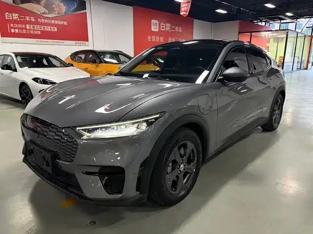 Ford Electric 2021 Model X Rear-Wheel Drive Standard Range