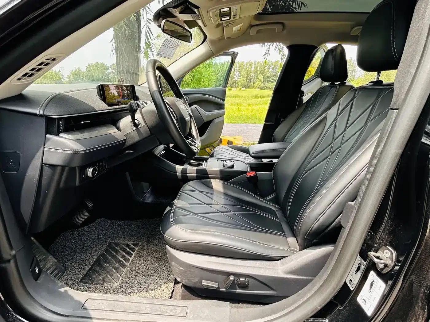 Ford Electric 2021 Model X Rear-Wheel Drive Standard Range — миниатюра 5