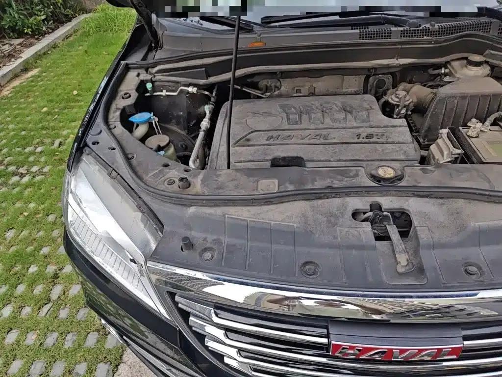 Haval H6 2017 Red Label Sport Edition 1.5T Automatic 2WD Luxury — миниатюра 22