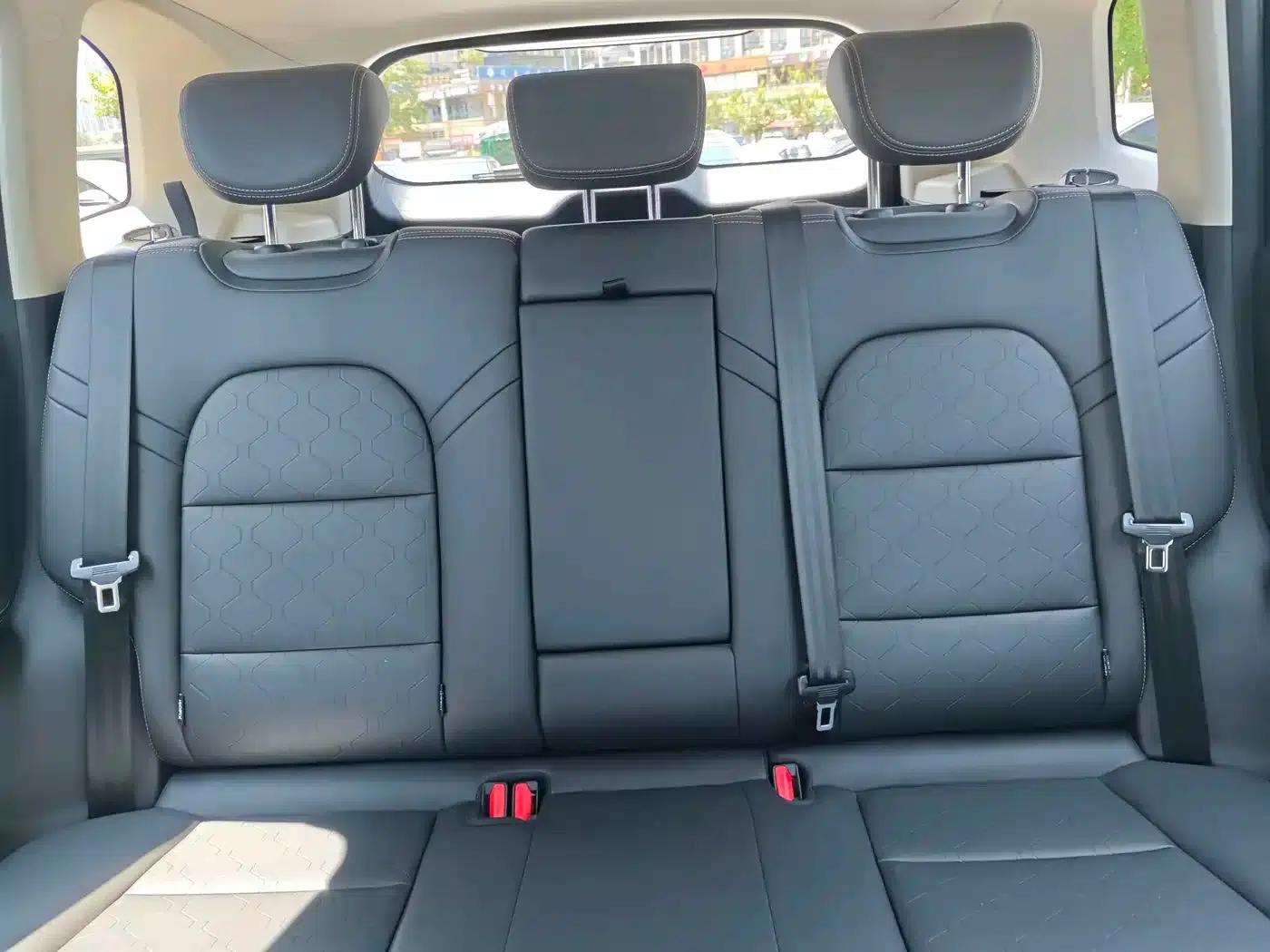 Haval Big Dog 2024 1.5T DCT Border Collie Edition — миниатюра 14