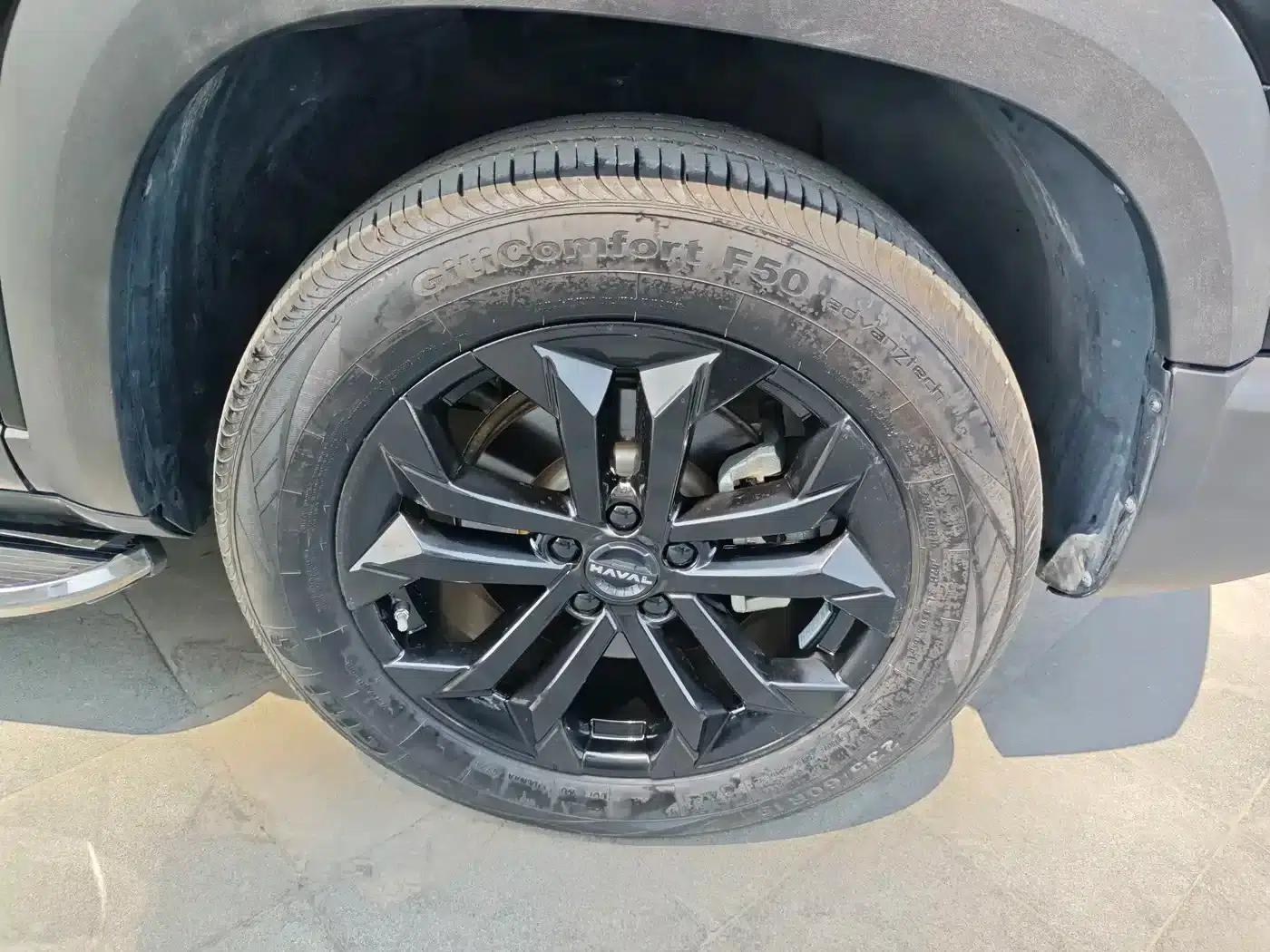 Haval Big Dog 2024 1.5T DCT Border Collie Edition — миниатюра 17
