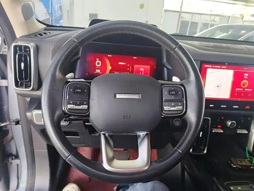 Haval Big Dog 2021 1.5T DCT 2WD Border Collie - Lucky Edition — миниатюра 11