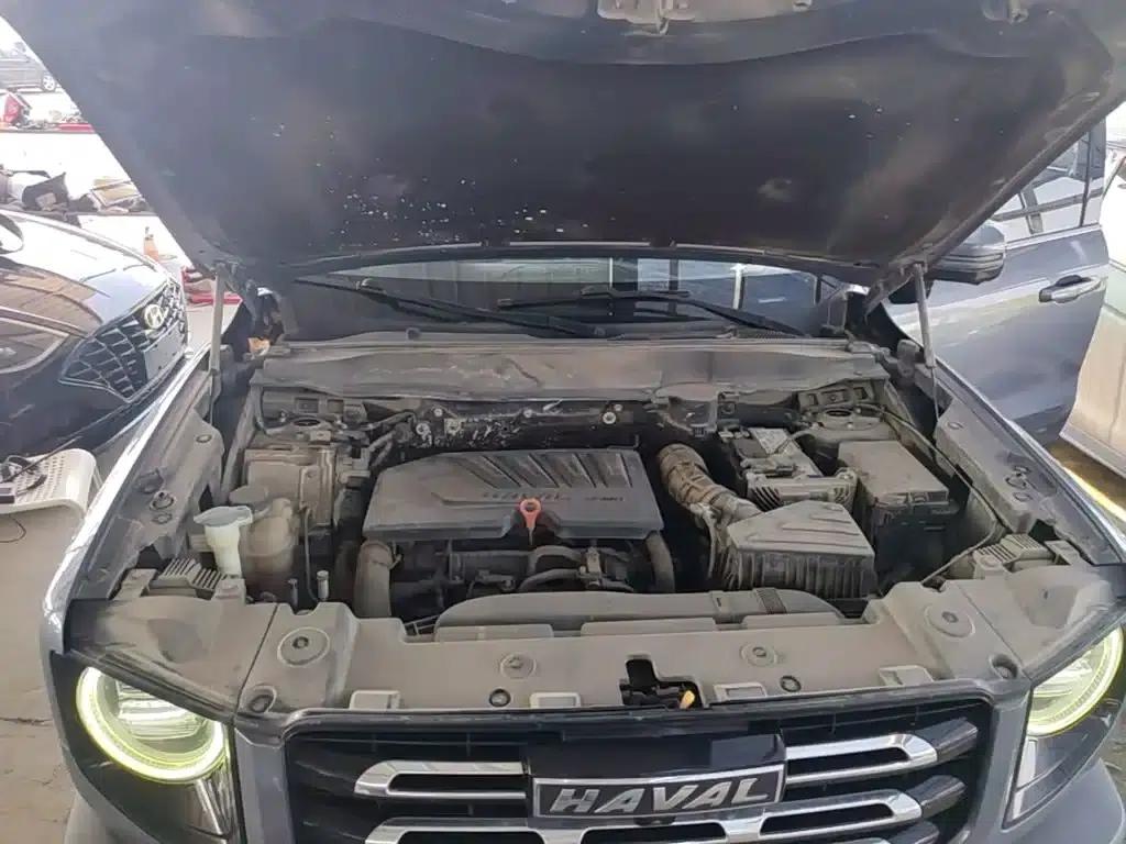Haval Big Dog 2021 1.5T DCT 2WD Border Collie - Lucky Edition — миниатюра 20