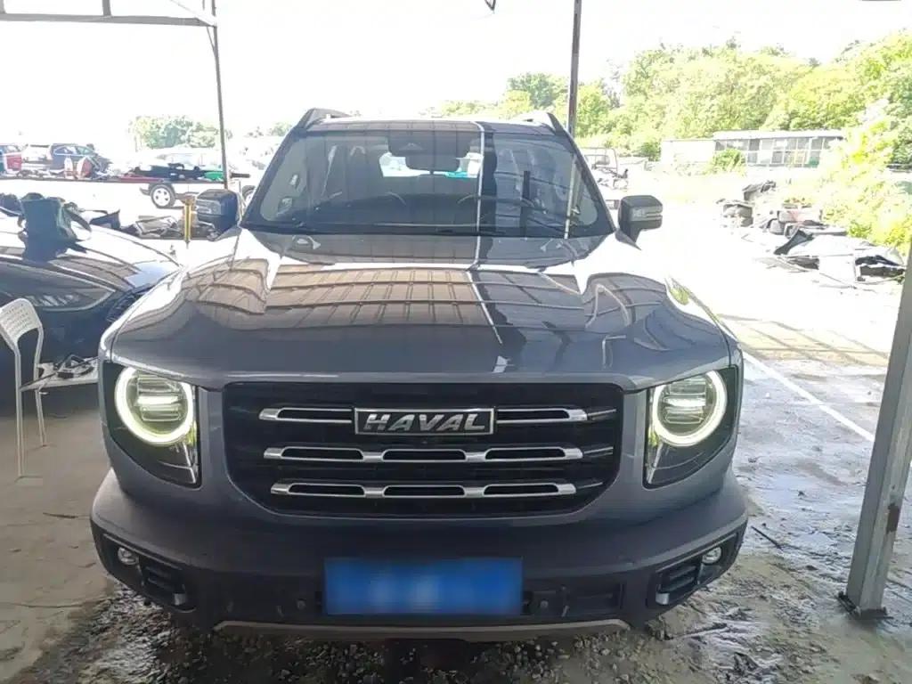 Haval Big Dog 2021 1.5T DCT 2WD Border Collie - Lucky Edition — миниатюра 3
