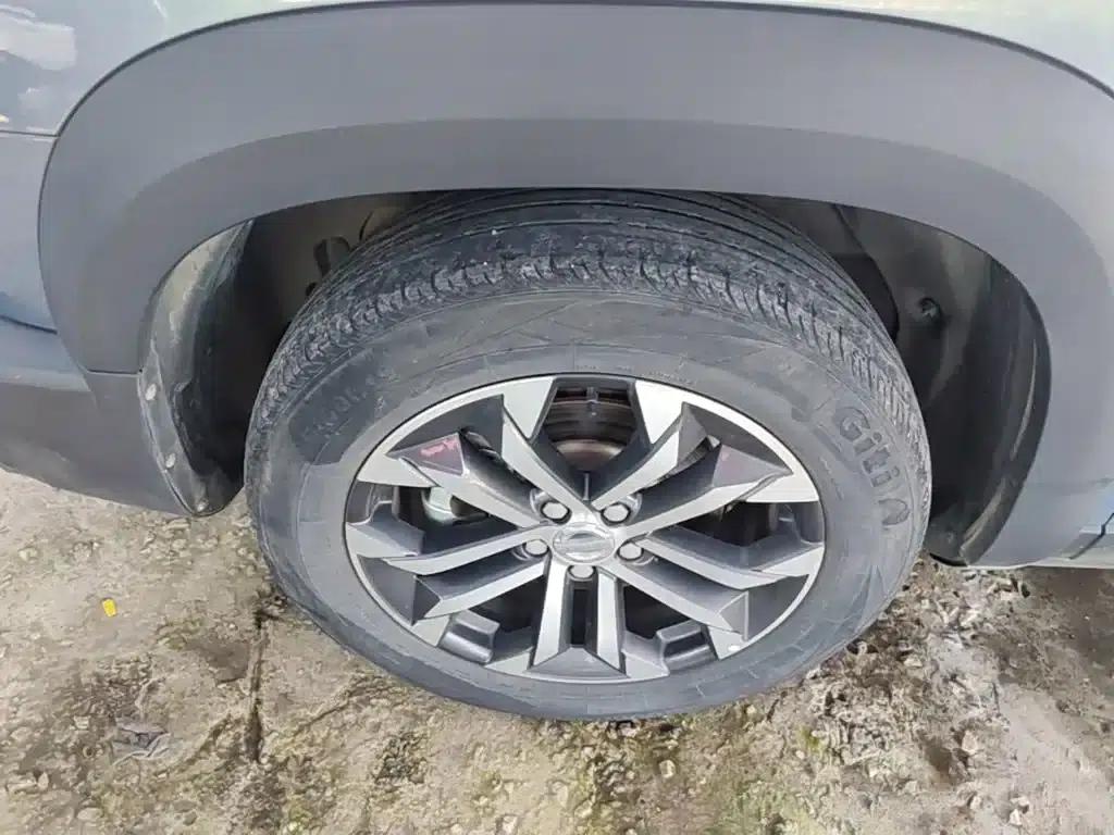 Haval Big Dog 2021 1.5T DCT 2WD Border Collie - Lucky Edition — миниатюра 23