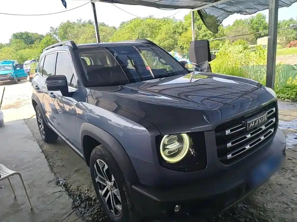 Haval Big Dog 2021 1.5T DCT 2WD Border Collie - Lucky Edition — миниатюра 4
