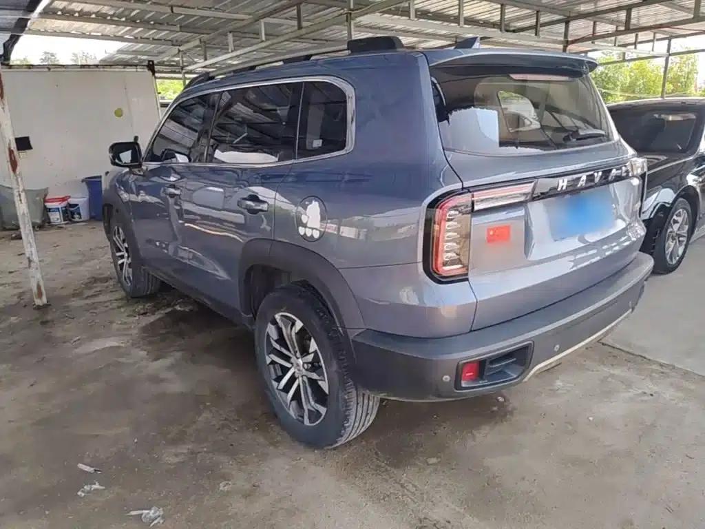 Haval Big Dog 2021 1.5T DCT 2WD Border Collie - Lucky Edition — миниатюра 5