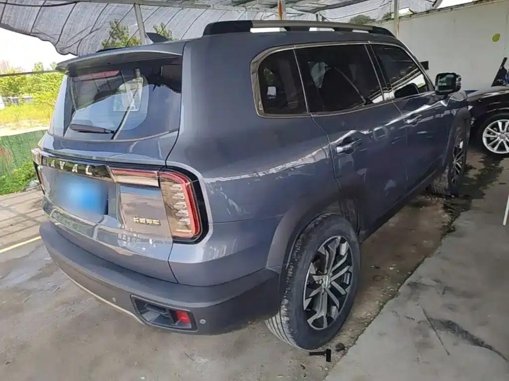 Haval Big Dog 2021 1.5T DCT 2WD Border Collie - Lucky Edition — миниатюра 7