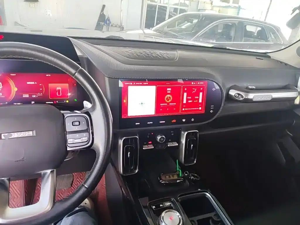 Haval Big Dog 2021 1.5T DCT 2WD Border Collie - Lucky Edition — миниатюра 10