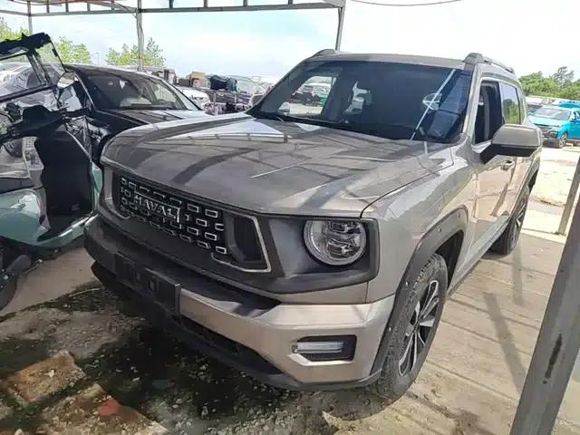 Haval Big Dog PLUS 2023 2.0T 4WD Trendy Wild Plus