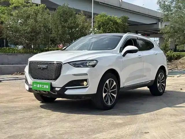 Haval F5 2019 National Trend Edition 1.5T iFashion National VI