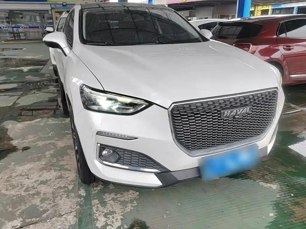 Haval F5 2019 National Trend Edition 1.5T i-Trend National VI — миниатюра 4