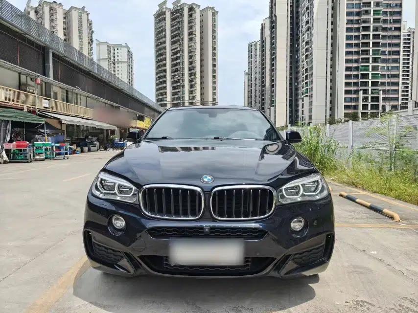 BMW X6 2018 xDrive35i M Sport Luxury Edition — миниатюра 15