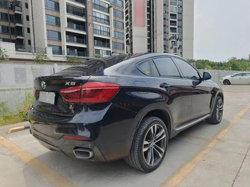 BMW X6 2018 xDrive35i M Sport Luxury Edition — миниатюра 16