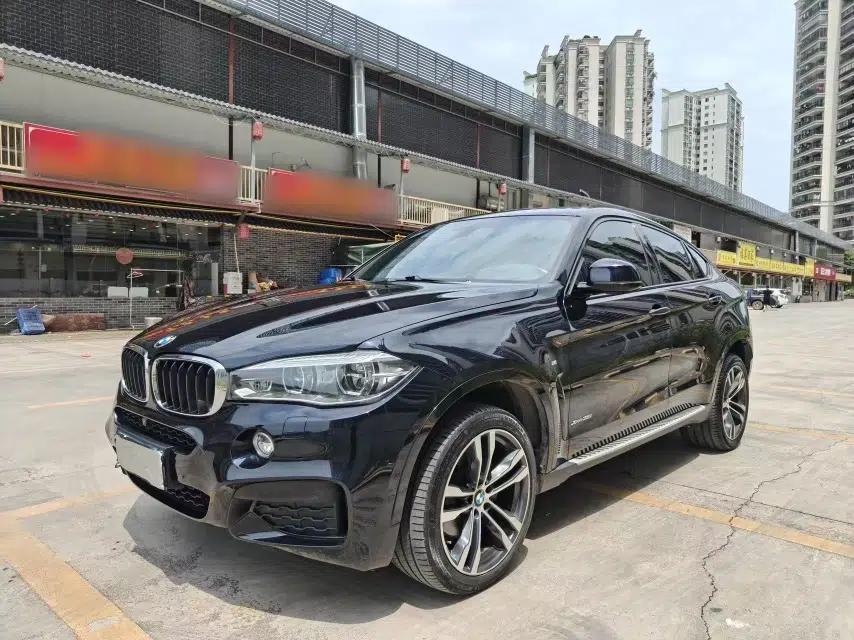 BMW X6 2018 xDrive35i M Sport Luxury Edition — миниатюра 19