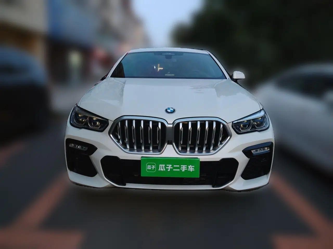 BMW X6 2020 xDrive40i Luxury Model with M Sport Package — миниатюра 2