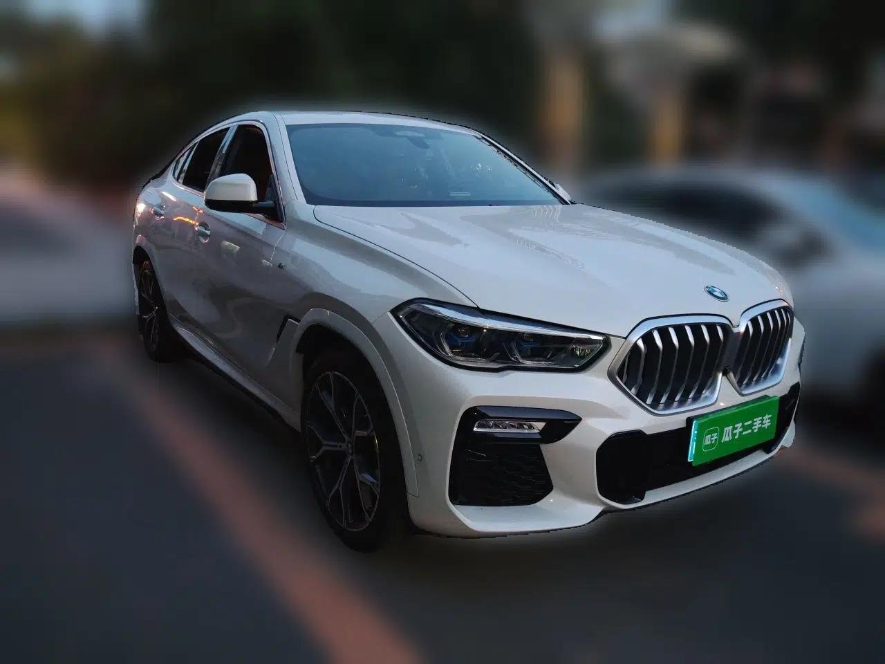 BMW X6 2020 xDrive40i Luxury Model with M Sport Package — миниатюра 3