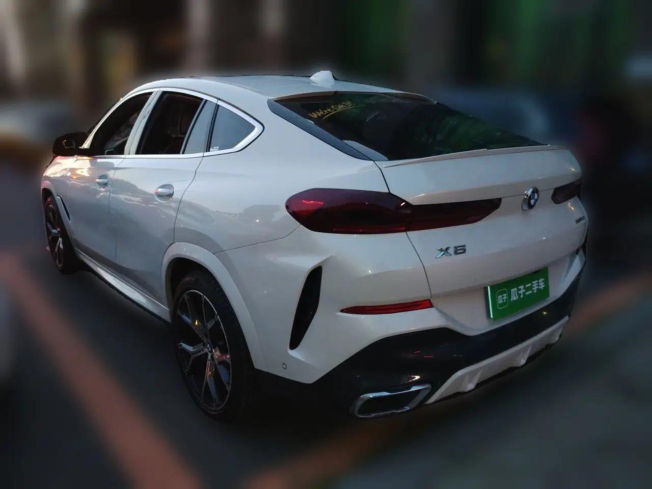 BMW X6 2020 xDrive40i Luxury Model with M Sport Package — миниатюра 4