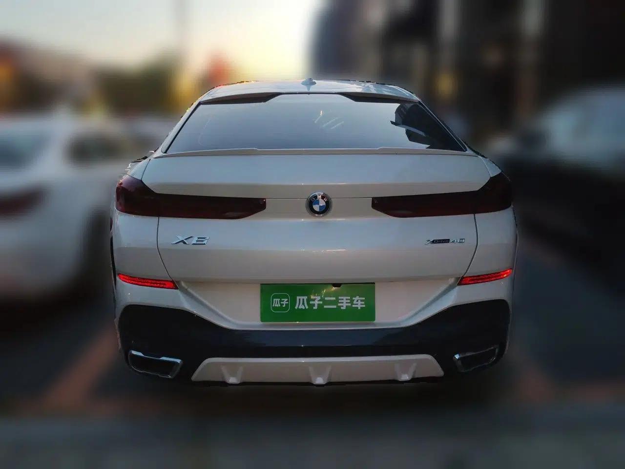 BMW X6 2020 xDrive40i Luxury Model with M Sport Package — миниатюра 5