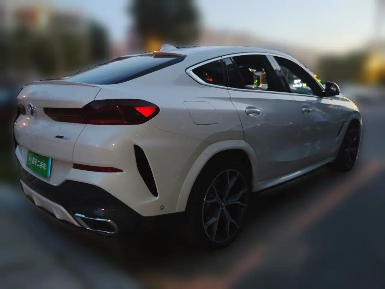 BMW X6 2020 xDrive40i Luxury Model with M Sport Package — миниатюра 6